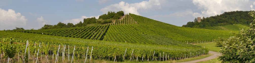 Schwäbischer Albverein | Ortsgruppe Sternenfels