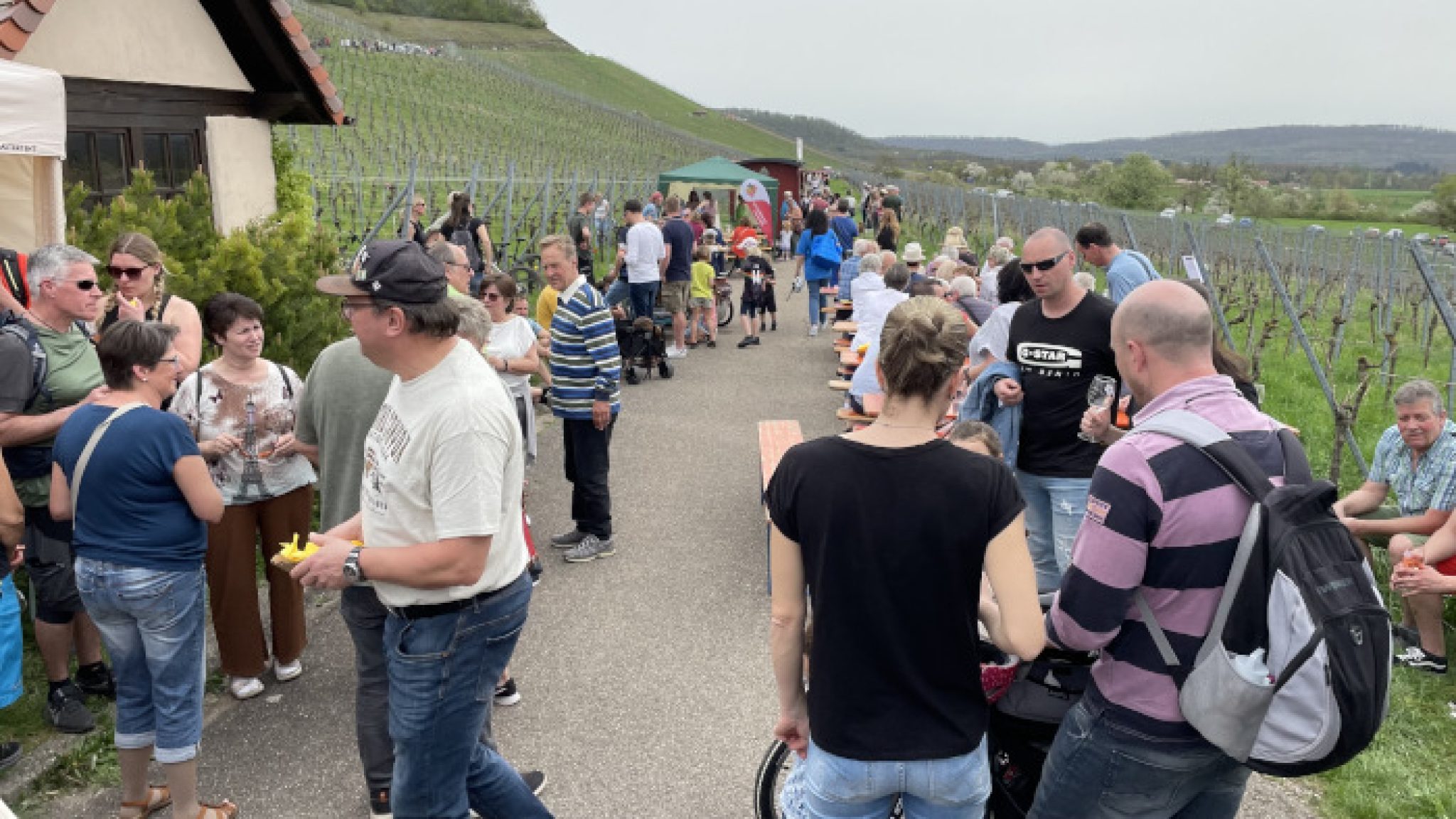 Mandelblütenfest Diefenbach 2025 Mandelblüte Bei diefenbach 2024 Mandelblütenfest Diefenbach 2025 Mandelblüte Bei diefenbach 2024